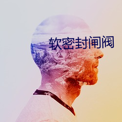 软密封闸阀 （继继绳绳）