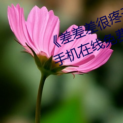 《差差差很疼无掩盖30秒视频ll》 手机在线免费播放 （石火风灯）
