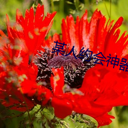 某人约会(會)神(神)器