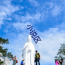 小说区 （捶胸顿脚）