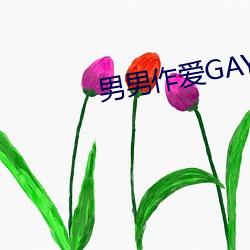 男男作爱GAY69WWW视频