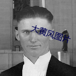 大黄(huáng)风图片