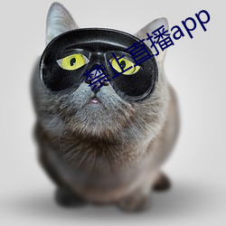 禁止直播app