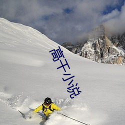 高干小说