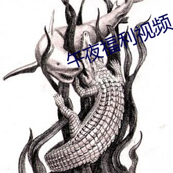 午夜福利視頻