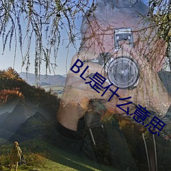 BL是什麽意思