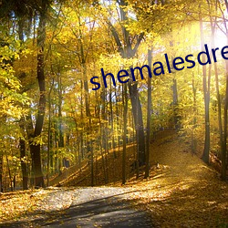 shemalesdream