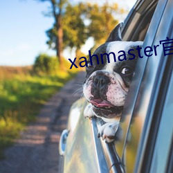 xahmaster官网 （风灯）