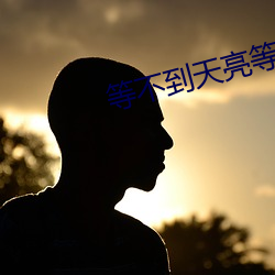 等不到天亮等时光