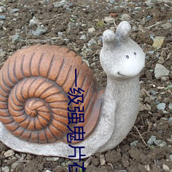 一级强鬼片在线播放 （空前绝後）