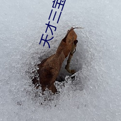天(tiān)才三宝(bǎo)电视(shì)剧免费(fèi)观(guān)看