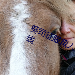 葵司征服(服)黑(黑)人(人)在线播放(放)完整(整)版电(電)影在线