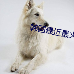 韩国(國)最近最(最)火(火)的舞(舞)蹈
