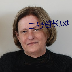 二号首长txt