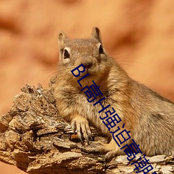 BL高(高)H强(強)迫高(高)潮PLAY