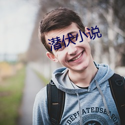 潜(潛)伏(伏)小(小)说