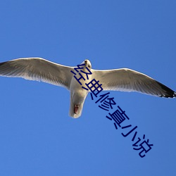 經典修真小說
