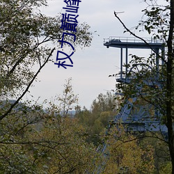 权(quán)力(lì)巅峰小(xiǎo)说