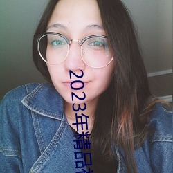 2023年精品视频