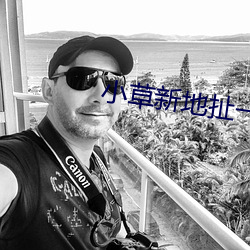 小草新地扯一二