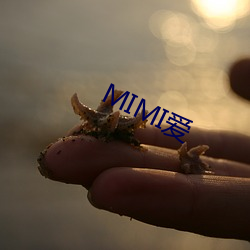 MIMI愛