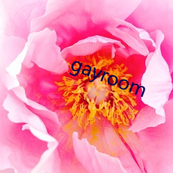 gayroom