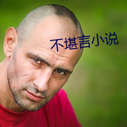 不堪言小說