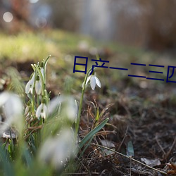 日(日)产(産)一二(二)三四六七区