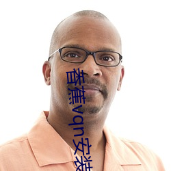 香蕉vqn安装包