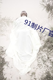 91制片厂(廠)官网app