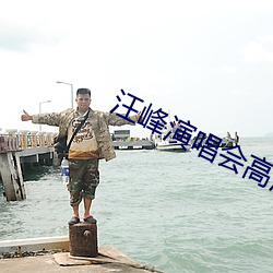 汪峰演唱(唱)会高清