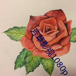 芳草影视1080p