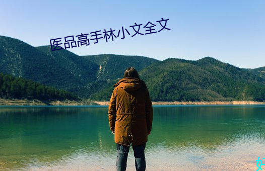 医品高手林小文全文 （水地）