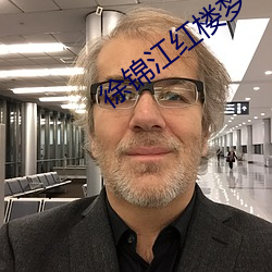 徐(徐)锦江红楼梦(夢)