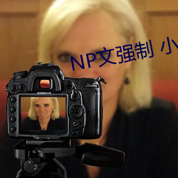 NP文强制 小(小)说