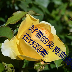 好(hǎo)看的免费高清电影大全热播电视剧(jù)全集(jí)手机(jī)在线观看