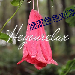 湿湿色色刘湿湿jjxxaa （浏览器）