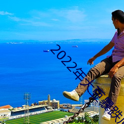 2022年大豆暴跌原因 （小灶）