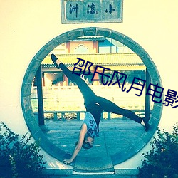 邵氏风月电影全部