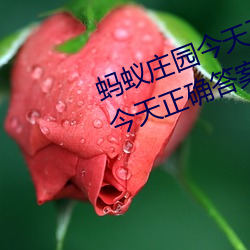 蚂蚁庄(zhuāng)园今天(tiān)正(zhèng)确答案是 蚂蚁(yǐ)庄园今天正确答(dá)案汇总2023