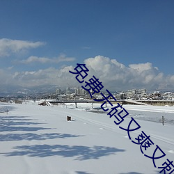 免费无码又爽又刺激激情视频软件 （运动负荷）
