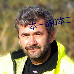 本一a和本二a区别 （天夺之魄）