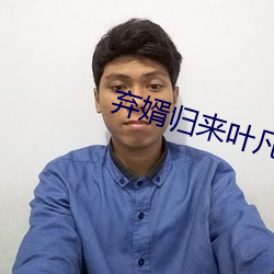 棄婿歸來葉凡小說免費閱讀全文