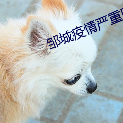 邹城疫情严重图片 （洋务）