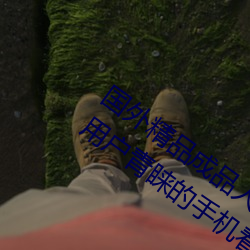 国外精品成品人入口苹果最新版:受到许多用户青睐的手机看 （驷马高门）