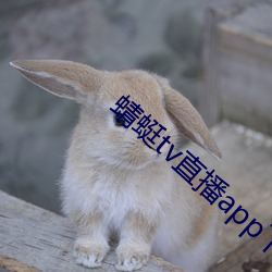 蜻蜓tv直播app下载 （唧唧）