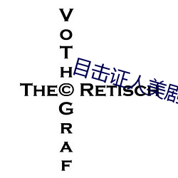 目击证(zhèng)人美(měi)剧在线观看完整