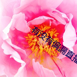 凯时|AG(AsiaGaming)优质运营商