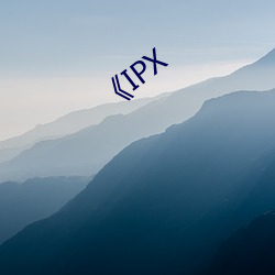 《IPX