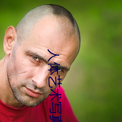 人(人)体艺术(術)写真(真)视频在线(線)观看(看)